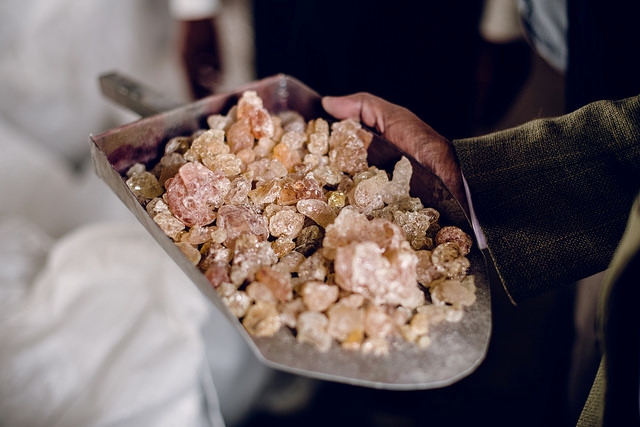 La gomme arabique - Les herbonautes