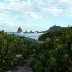 Image Voyage au cœur des Petites Antilles françaises
