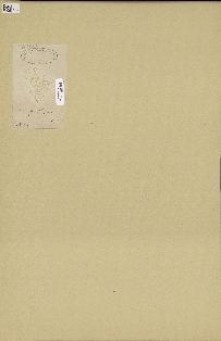 spécimen de Chylocladia sp.