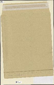 spécimen de Laurencia sp.