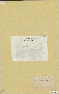 spécimen de Laurencia intricata